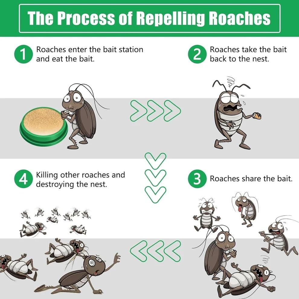 24pcs Of Cockroach Killer Gel (Pack of 2)