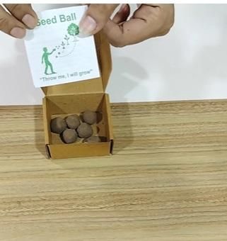 Organic Seedballs Pack of 6 ( Tulsi , Sungold , Sunflower & Morning Star )